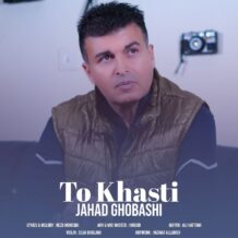 آهنگ جدید جها قباشی به نام تو خواستی